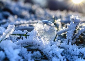 PIXNIO | Detalhes da licença Direitos autorais: Pixabay