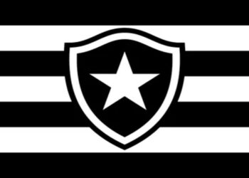 Botafogo: Títulos, Ídolos, Hinos e Jogos, A História Completa. Confira!