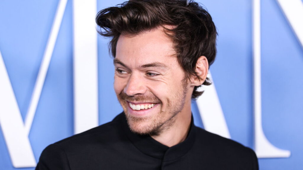 Harry Styles: O Cantor Bilionário Mais Estiloso do Mundo