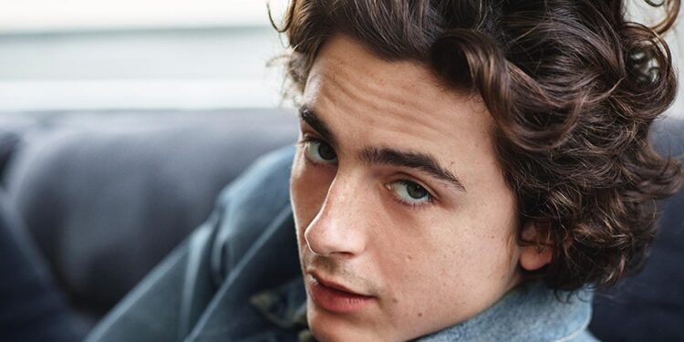 Timothée Chalamet: A Fortuna do Camaleão de Hollywood