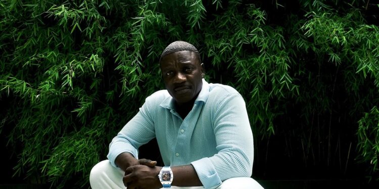 Akon: O Gênio dos Negócios por Trás de um Patrimônio Multimilionário