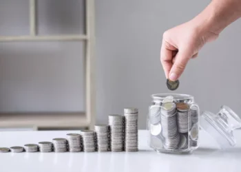 É possível montar uma carteira apenas com títulos públicos?