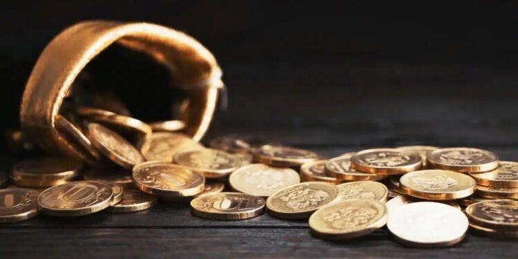 Imagem: Dyfrain / Shutterstock.com