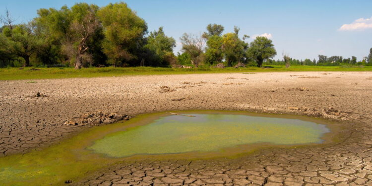 O Fenômeno Climático do B-R-Ó BRÓ no Sertão Nordestino