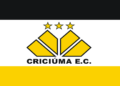 Criciúma Esporte Clube: Títulos, Hino, Ídolos e Jogos. A História Completa Do Criciúma. Confira!
