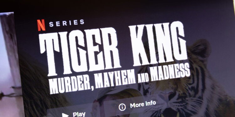 Separamos 8 Documentários pra Você Assistir na Netflix! Confira