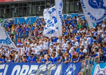 Torcida Organizada Máfia Azul Do Cruzeiro está banida dos estádios brasileiros.