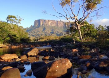 Parque Nacional do Monte Roraima // Reprodução: Wikimedia Commons