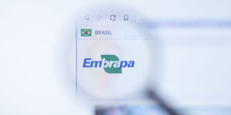 Concurso Embrapa: Edital iminente, Inscrições abertas em breve!