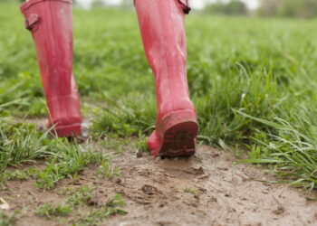 Alerta de chuvas intensas: Rio de Janeiro e Espírito Santo em riscos