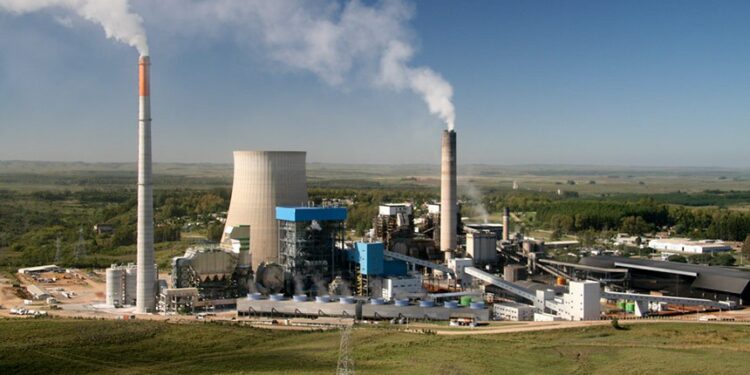 Senado avança em projeto de créditos de carbono no Brasil