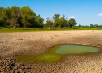 Seca Inesperada: Primavera Brasileira Sofre com Baixa Umidade