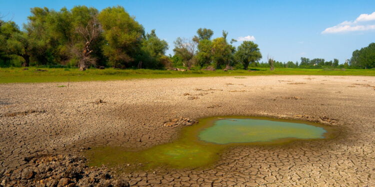 Seca Inesperada: Primavera Brasileira Sofre com Baixa Umidade