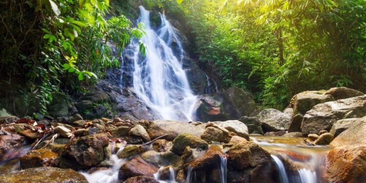 Cachoeira – Créditos: depositphotos.com / Patryk_Kosmider