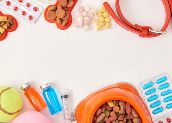 Ceia de Natal: Quais Alimentos Podem Fazer Mal ao Seu Pet? Confira