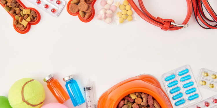 Ceia de Natal: Quais Alimentos Podem Fazer Mal ao Seu Pet? Confira