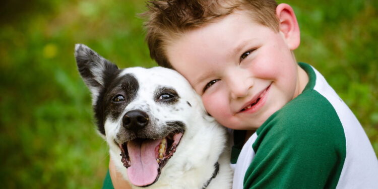 Guia completo para quem deseja adotar um pet: dicas e cuidados