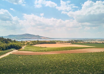 Setor agrícola - Créditos: depositphotos.com / AlexGukBO