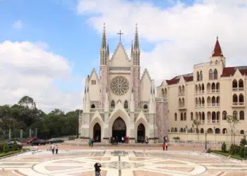 Veja essa imagem em: Wikimedia Commons