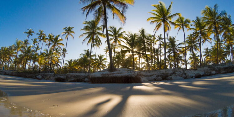 Essa cidade da Bahia é conhecida por ter uma das melhores praias do Brasil