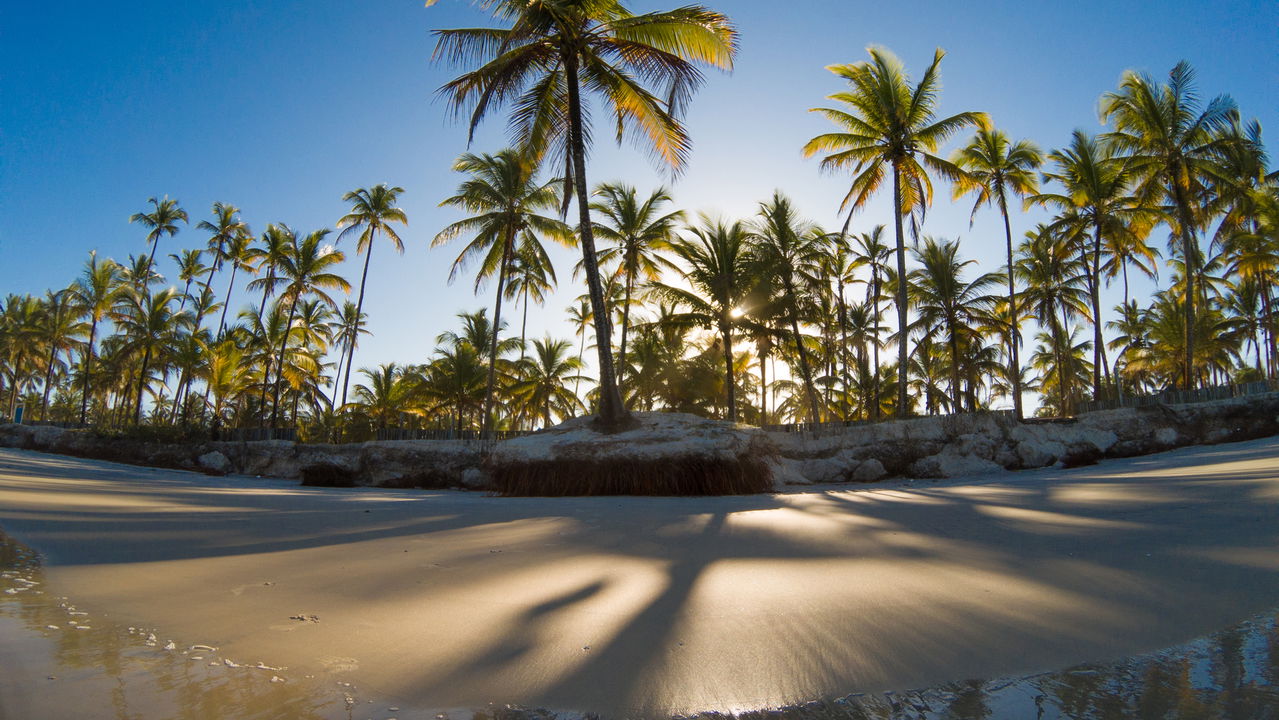 Cidade da Bahia é conhecida por ter uma das melhores praias do Brasil