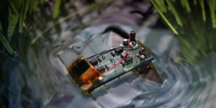 A era dos minirrobôs! Tecnologia inspirada na natureza invade os oceanos