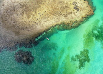 Aerial view of Sao Miguel dos Milagres Beach, Alagoas, Brazil: unique experience of swimming with fishs in natural pools. Fantastic vacation travel. Great beach scene. Beautiful landscape. Candles, sailboats, rafts, boats in the harbor!