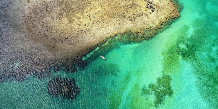 Aerial view of Sao Miguel dos Milagres Beach, Alagoas, Brazil: unique experience of swimming with fishs in natural pools. Fantastic vacation travel. Great beach scene. Beautiful landscape. Candles, sailboats, rafts, boats in the harbor!