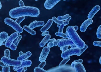 O que a IA resolveu em dois dias que os cientistas não viram em anos? Entenda