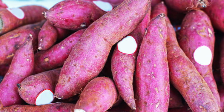 Créditos: depositphotos.com / oilslo