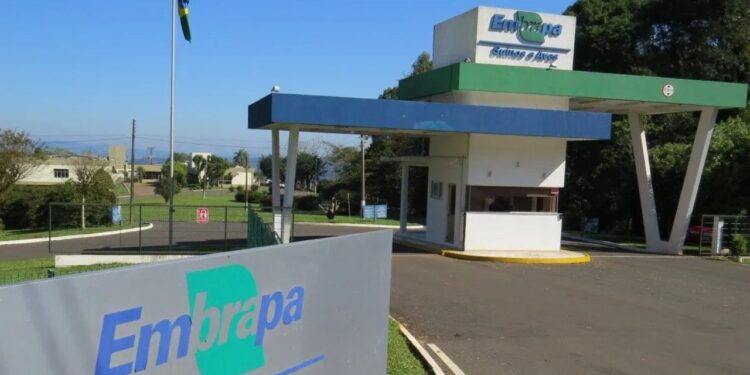 Concurso Embrapa! Prepare-se para as provas