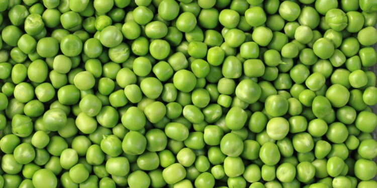 Créditos: depositphotos.com / jonnysek