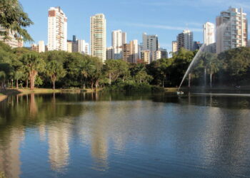 A arborização está mudando o futuro desta cidade e ninguém fala sobre isso
