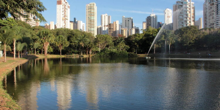 A arborização está mudando o futuro desta cidade e ninguém fala sobre isso