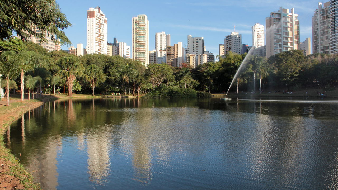 A arborização está mudando o futuro desta cidade e ninguém fala sobre isso