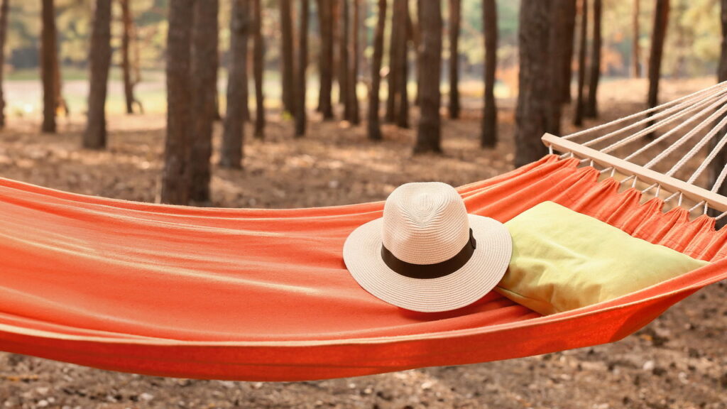 Hammock with hat and pillow in forest on summer day