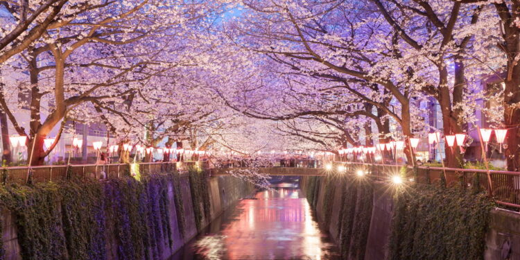 Conheça a cidade que impressiona todos visitantes com a cultura japonesa