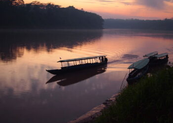 Amazônia - Créditos: depositphotos.com / pljvv1