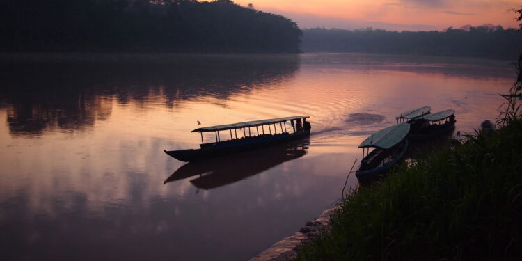 Amazônia - Créditos: depositphotos.com / pljvv1