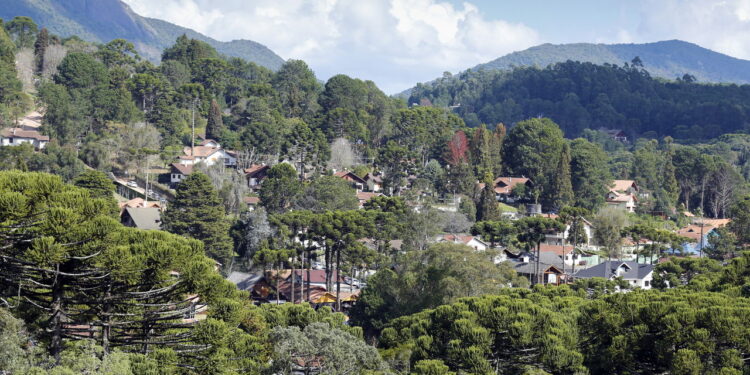 Créditos: depositphotos.com / sidneydealmeida