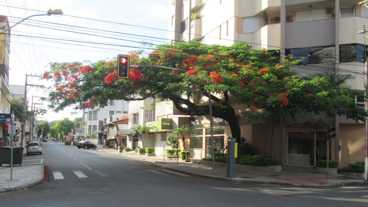 Cidade no interior de Santa Catarina impressiona com sua qualidade de vida