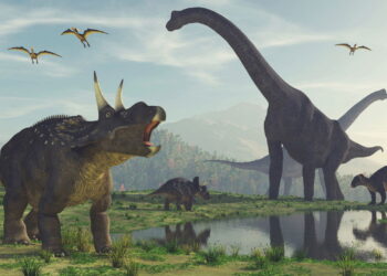 10 curiosidades sobre os dinossauros que você precisa saber!
