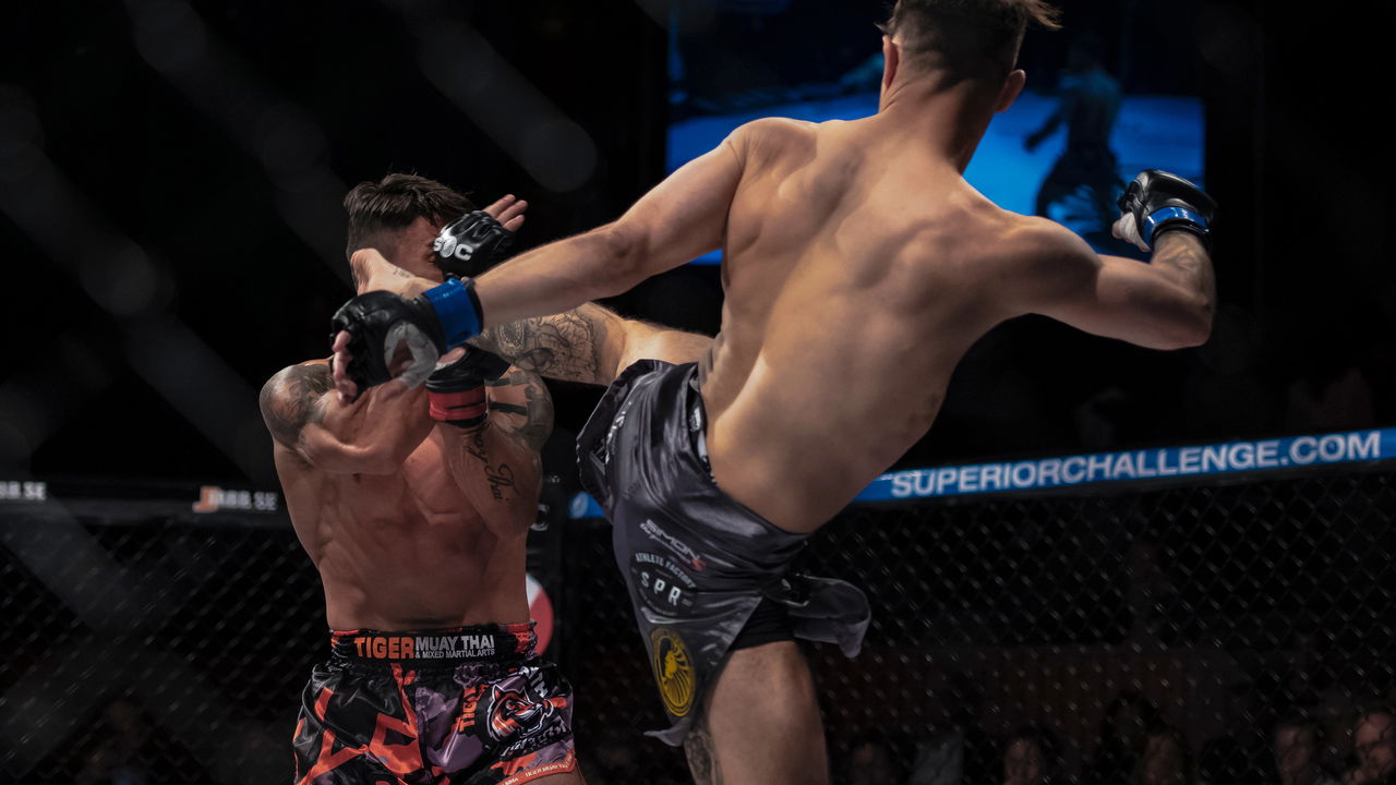 Quem é Alex "Poatan" Pereira? Curiosidades do principal nome do MMA brasileiro!