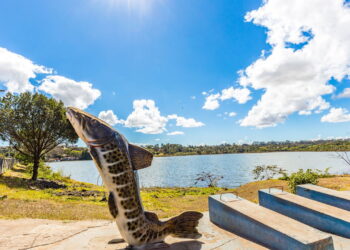 Uberlândia - Créditos: depositphotos.com / paulobaqueta