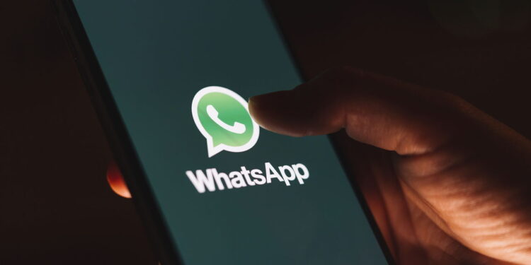 Você sabe como ativar o divertido modo ‘gato siamês’ no WhatsApp? Veja como