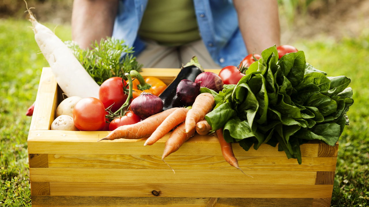 Conheça os benefícios do consumo de alimentos orgânicos!