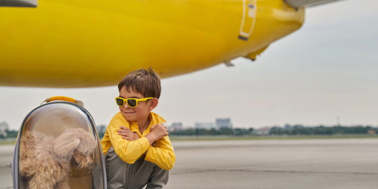 Os cuidados essenciais ao viajar de avião com seu cachorro