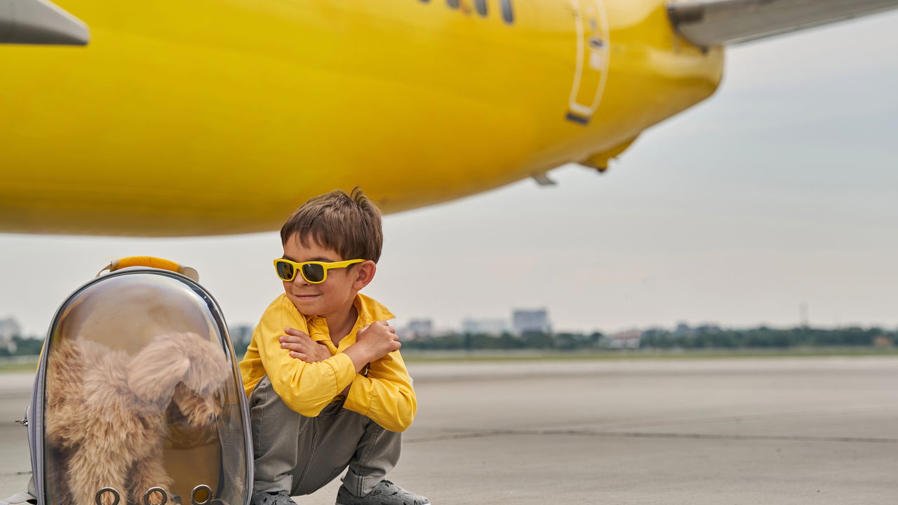 Os cuidados essenciais ao viajar de avião com seu cachorro