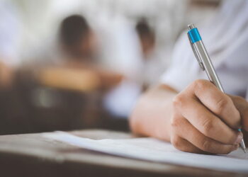 Prefeitura de Alegre abre 34 vagas com salários de até R$ 3,1 mil