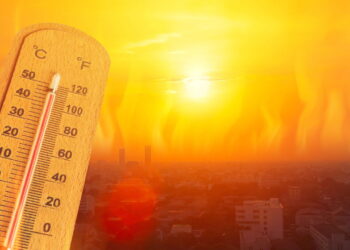 Ondas de calor extremas podem ser perigosas e exige atenção imediata